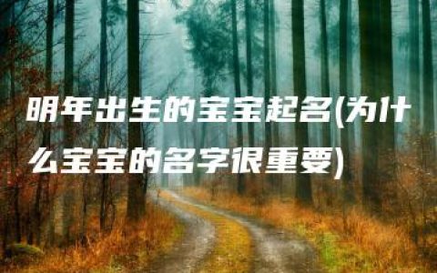 明年出生的宝宝起名(为什么宝宝的名字很重要)