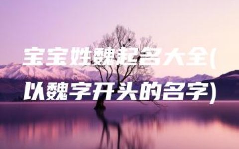 宝宝姓魏起名大全(以魏字开头的名字)