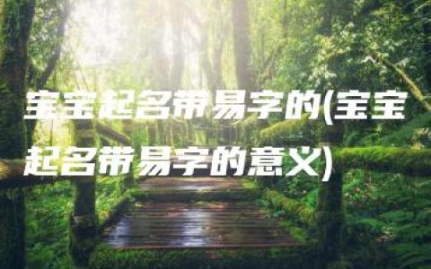 宝宝起名带易字的(宝宝起名带易字的意义)