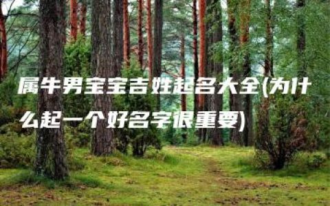 属牛男宝宝吉姓起名大全(为什么起一个好名字很重要)