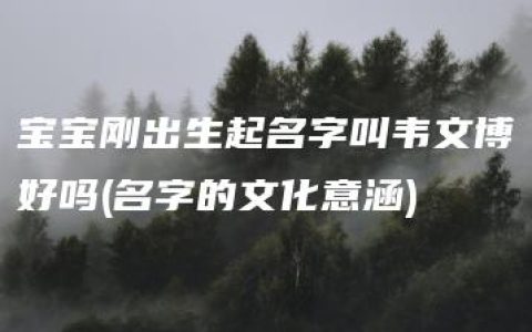 宝宝刚出生起名字叫韦文博好吗(名字的文化意涵)