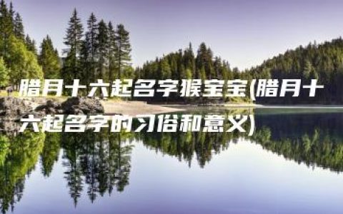 腊月十六起名字猴宝宝(腊月十六起名字的习俗和意义)