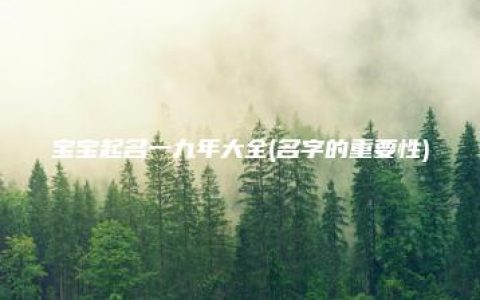 宝宝起名一九年大全(名字的重要性)