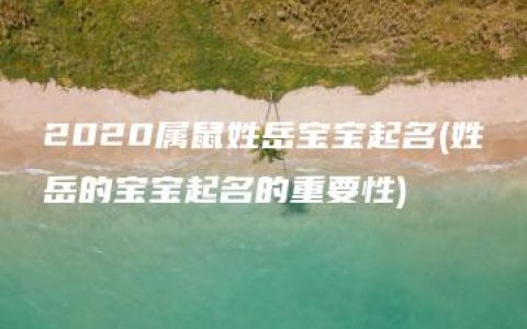 2020属鼠姓岳宝宝起名(姓岳的宝宝起名的重要性)