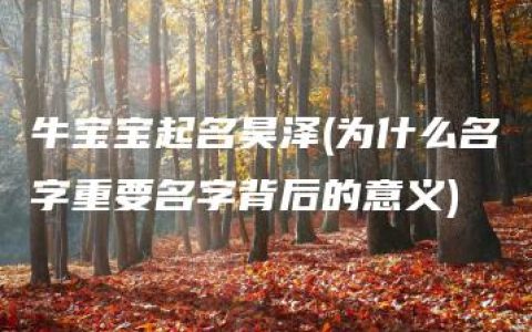 牛宝宝起名昊泽(为什么名字重要名字背后的意义)