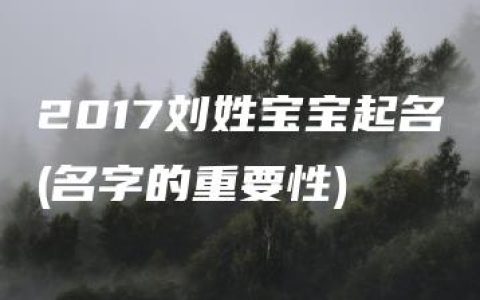 2017刘姓宝宝起名(名字的重要性)