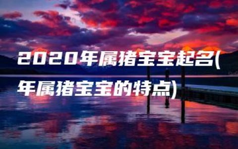 2020年属猪宝宝起名(年属猪宝宝的特点)