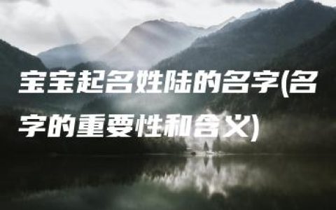 宝宝起名姓陆的名字(名字的重要性和含义)