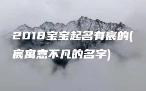 2018宝宝起名有宸的(宸寓意不凡的名字)