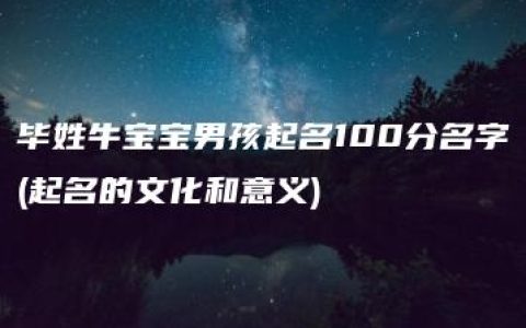 毕姓牛宝宝男孩起名100分名字(起名的文化和意义)