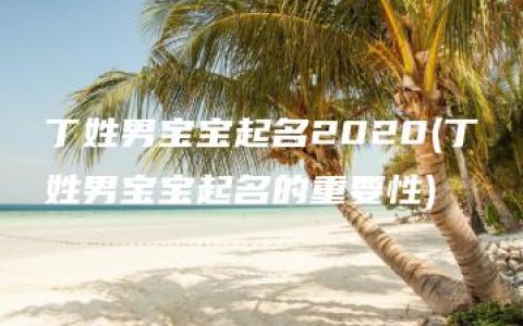 丁姓男宝宝起名2020(丁姓男宝宝起名的重要性)