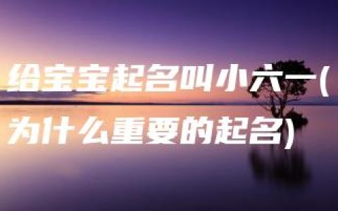 给宝宝起名叫小六一(为什么重要的起名)