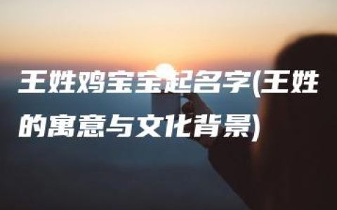 王姓鸡宝宝起名字(王姓的寓意与文化背景)