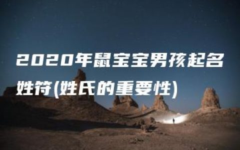 2020年鼠宝宝男孩起名姓符(姓氏的重要性)