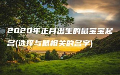 2020年正月出生的鼠宝宝起名(选择与鼠相关的名字)