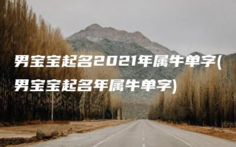 男宝宝起名2021年属牛单字(男宝宝起名年属牛单字)