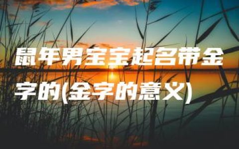 鼠年男宝宝起名带金字的(金字的意义)