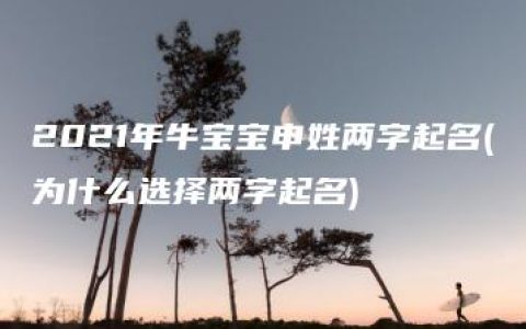 2021年牛宝宝申姓两字起名(为什么选择两字起名)