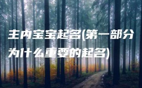 主内宝宝起名(第一部分为什么重要的起名)