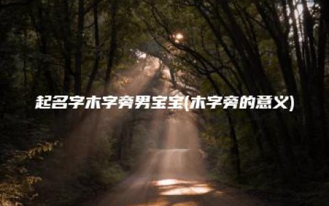 起名字木字旁男宝宝(木字旁的意义)