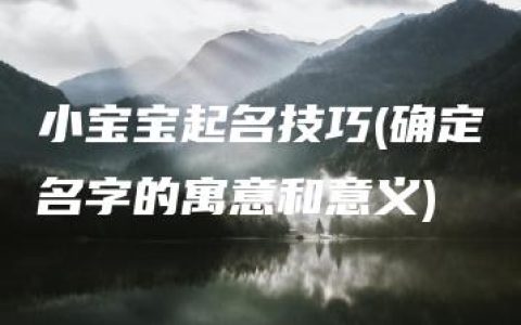 小宝宝起名技巧(确定名字的寓意和意义)