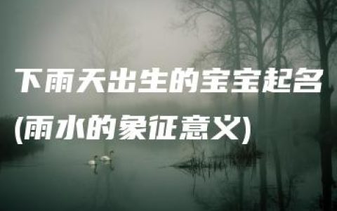 下雨天出生的宝宝起名(雨水的象征意义)