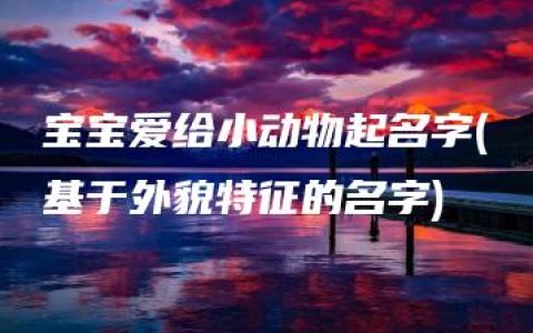 宝宝爱给小动物起名字(基于外貌特征的名字)