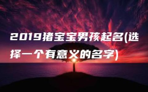 2019猪宝宝男孩起名(选择一个有意义的名字)