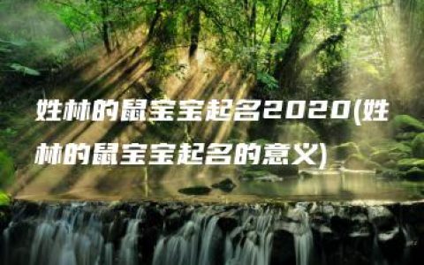 姓林的鼠宝宝起名2020(姓林的鼠宝宝起名的意义)