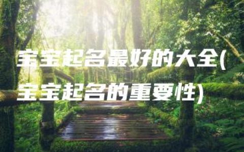 宝宝起名最好的大全(宝宝起名的重要性)