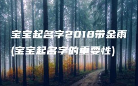 宝宝起名字2018带金雨(宝宝起名字的重要性)