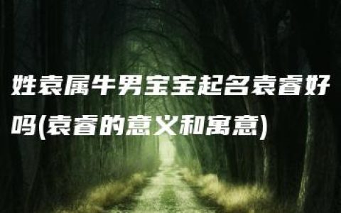 姓袁属牛男宝宝起名袁睿好吗(袁睿的意义和寓意)