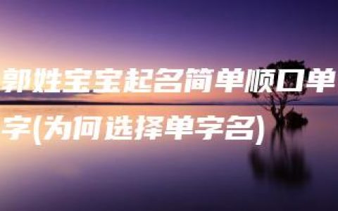 郭姓宝宝起名简单顺口单字(为何选择单字名)