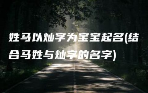 姓马以灿字为宝宝起名(结合马姓与灿字的名字)