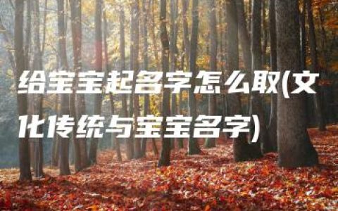 给宝宝起名字怎么取(文化传统与宝宝名字)