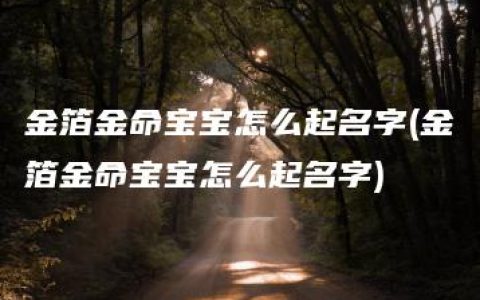 金箔金命宝宝怎么起名字(金箔金命宝宝怎么起名字)