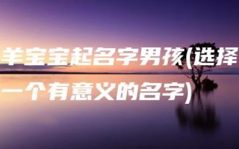 羊宝宝起名字男孩(选择一个有意义的名字)