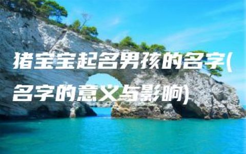 猪宝宝起名男孩的名字(名字的意义与影响)