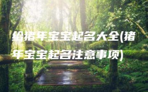 给猪年宝宝起名大全(猪年宝宝起名注意事项)