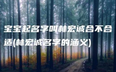 宝宝起名字叫林宏诚合不合适(林宏诚名字的涵义)