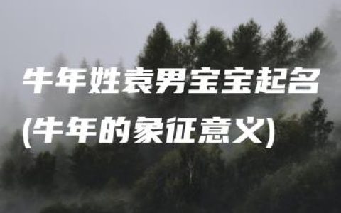 牛年姓袁男宝宝起名(牛年的象征意义)