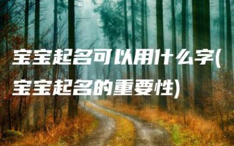 宝宝起名可以用什么字(宝宝起名的重要性)