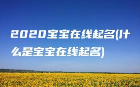 2020宝宝在线起名(什么是宝宝在线起名)