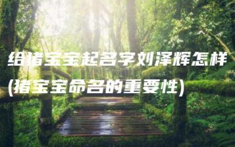 给猪宝宝起名字刘泽辉怎样(猪宝宝命名的重要性)