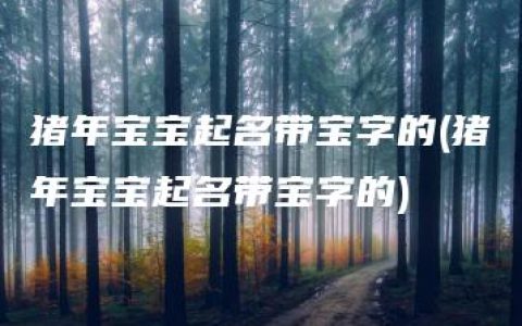 猪年宝宝起名带宝字的(猪年宝宝起名带宝字的)