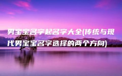 男宝宝名字起名字大全(传统与现代男宝宝名字选择的两个方向)