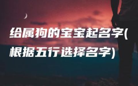 给属狗的宝宝起名字(根据五行选择名字)