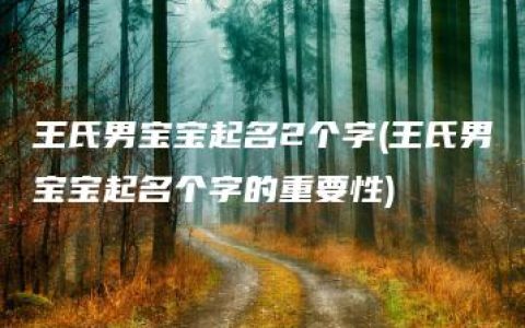 王氏男宝宝起名2个字(王氏男宝宝起名个字的重要性)