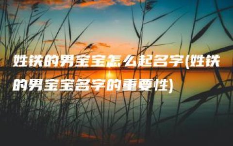 姓铁的男宝宝怎么起名字(姓铁的男宝宝名字的重要性)