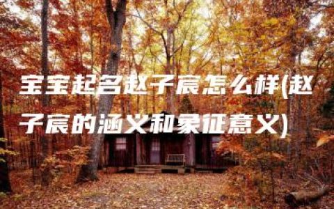 宝宝起名赵子宸怎么样(赵子宸的涵义和象征意义)